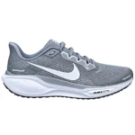 کفش رانینگ نایک nike pegasus مدل FD2722-009
